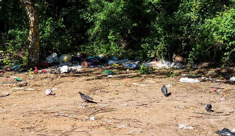 В Балабанове ликвидировали свалку мусора после просьбы местных жителей в соцсетях