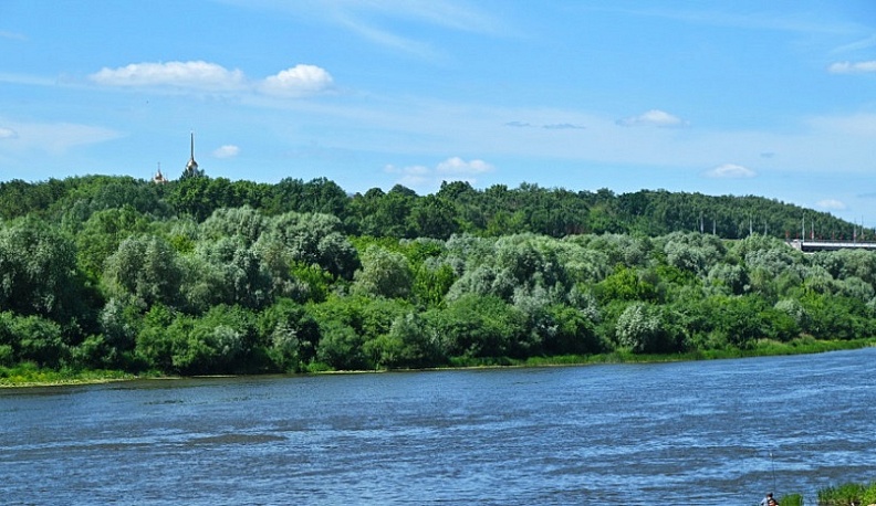 Калужская прокуратура проверит информацию о загрязнении Оки