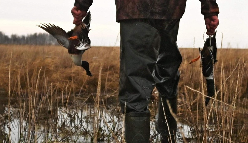 В Калужской области поймали более 50 нарушителей правил охоты