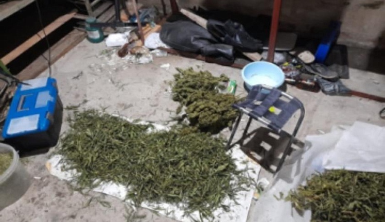 В Калуге полицейские задержали двух плантаторов с тремя килограммами конопли