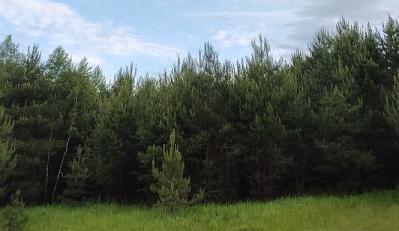 Калуга примет участие во Всероссийском субботнике "Зеленая Россия"