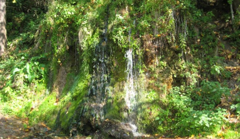 В Калужской области за 2019 год создано 5 новых памятников природы
