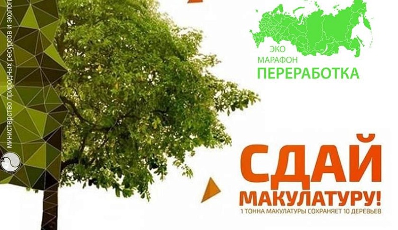 Калужан приглашают присоединиться к марафону «Сдай макулатуру – спаси дерево!»