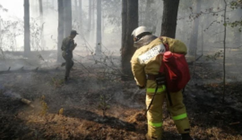 Лесной пожар в Износковском районе потушили за четыре часа