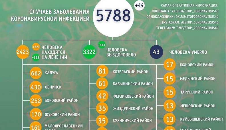 В Калужской области сохраняется положительная динамика: коронавирусом заболевает меньше людей, чем выздоравливает