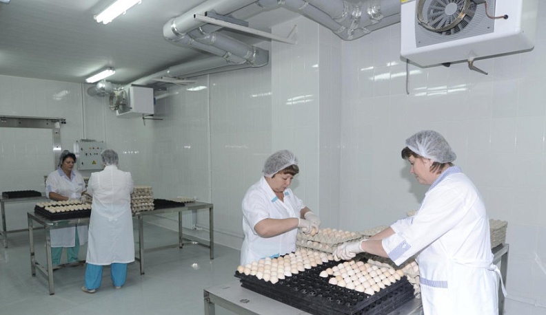 Калужская птицефабрика пожертвовала средства на нужды военнослужащих