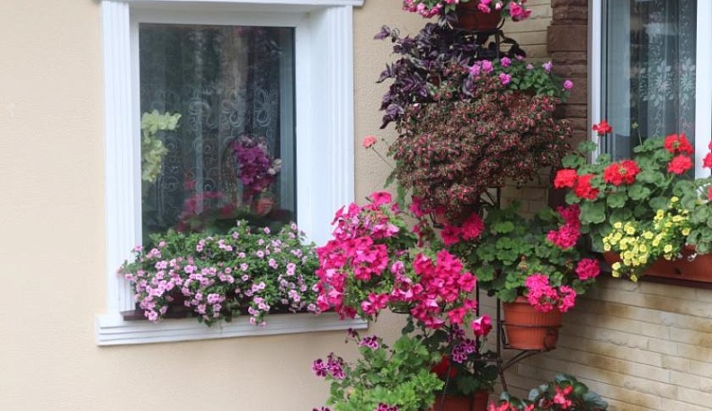 В поселениях Мещовского района проходят Дни села