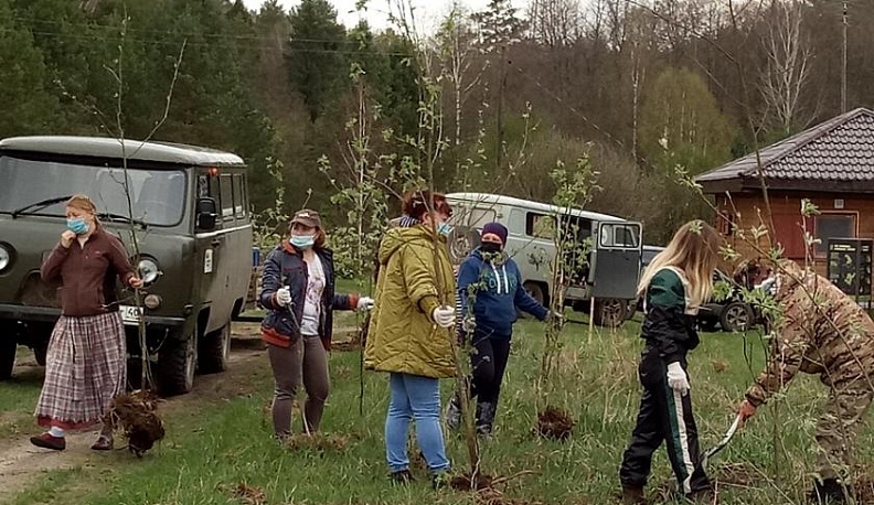 В Ульяновском районе заложили Аллею Памяти