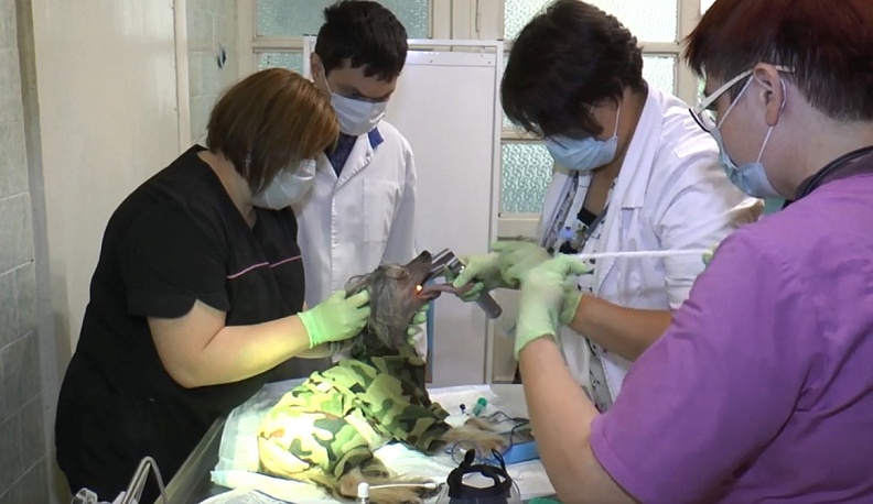 Луч надежды