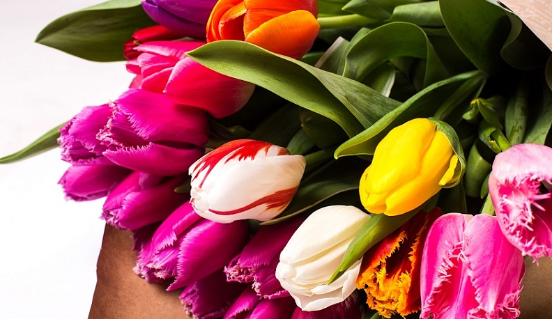 Калужанок приглашают на праздничный концерт и встречу с поэтом