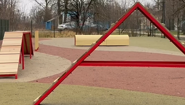 В Калуге открылась ещё одна современная площадка для дрессировки собак 