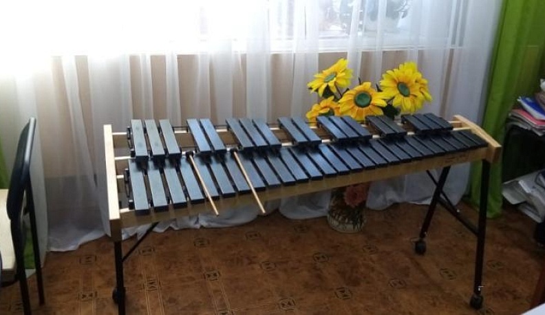 Детские школы искусств Калужской области будут оснащены духовыми и ударными инструментами