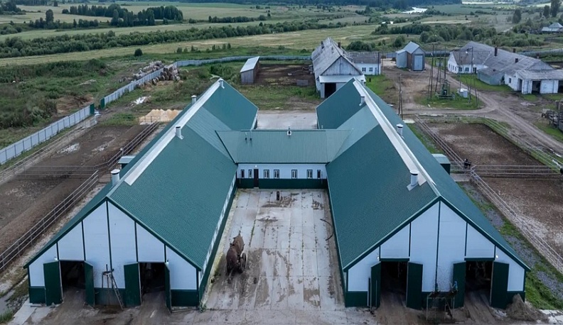 В Калужской области построят роботизированную ферму на полторы тысячи коров