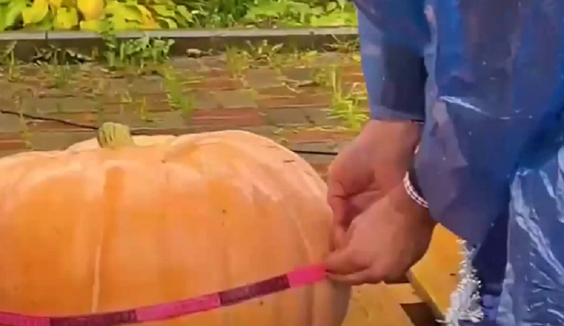 В Калужской области пройдет фестиваль «Тыква.life»