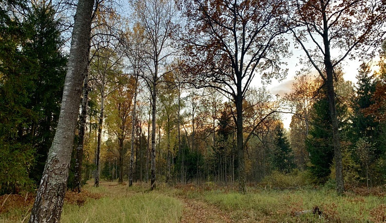В Калужской области объявили средний класс пожарной опасности
