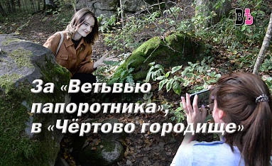 За "Ветвью папоротника" в "Чёртово городище"