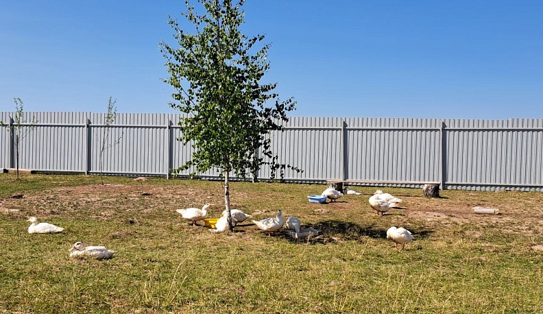 Родители участника СВО из Тарусы оформили соцконтракт на подсобное хозяйство