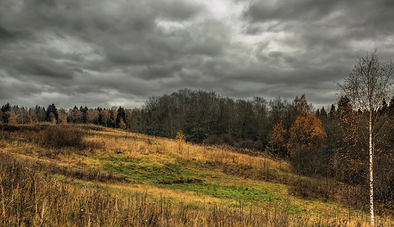 В Калуге будет тепло, но пасмурно