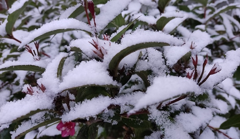 В Калуге ожидается похолодание