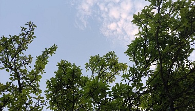 В Калужской области сбили 11 беспилотников