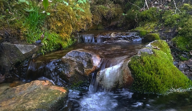 Калужане смогут создать интерактивную карту родников