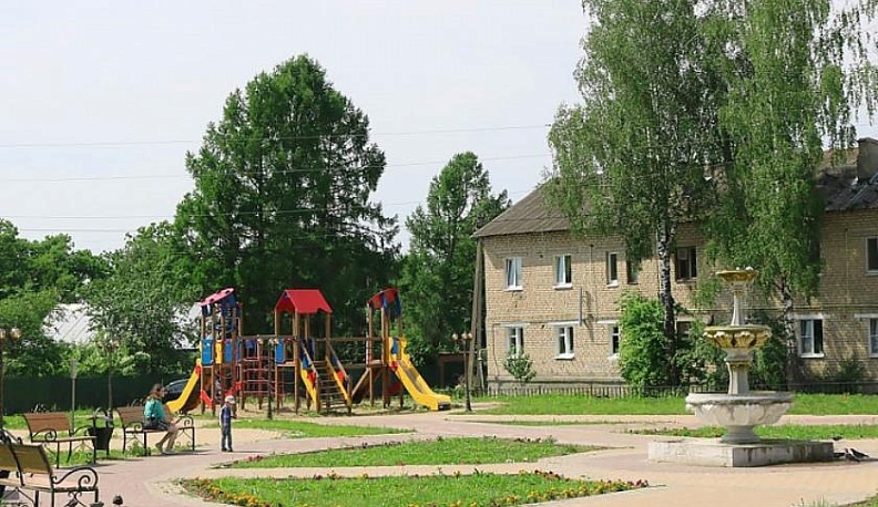 Ферзиковчане выбирают, как назвать сквер