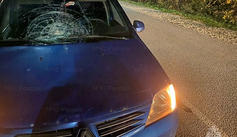 В Калужской области иномарка сбила мужчину на смерть