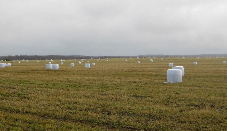 Новый старт на земле