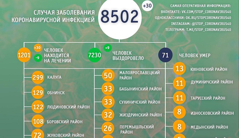 Количество случаев коронавируса в Калужской области превысило 8,5 тыс