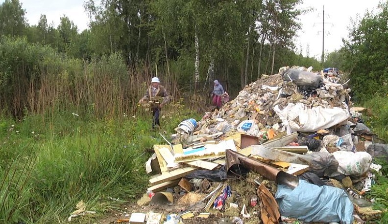 Плоды безнаказанности