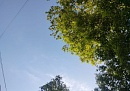 Семь дронов сбили в Калужской области