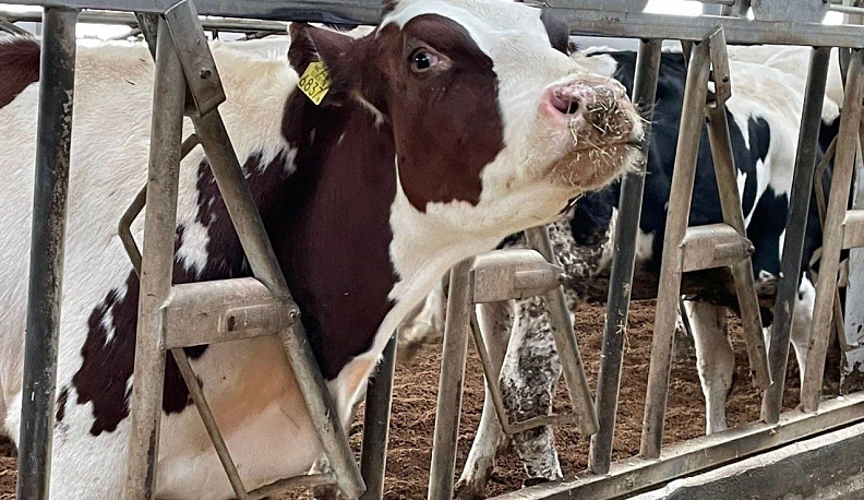 Владислав Шапша рассказал об актуальных инвестпроектах в калужском АПК