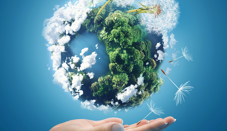 ФРП одобрил заем в размере 2 млрд. рублей ООО «Архбум тиссью групп»