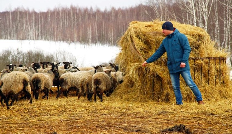 Нужны рабочие руки