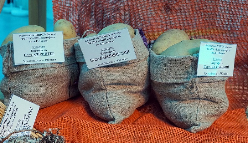 В 2025 году калужские аграрии на 3,7 % увеличили физический объем производства