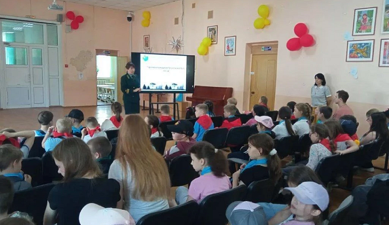 Калужских школьников познакомили с лесными профессиями