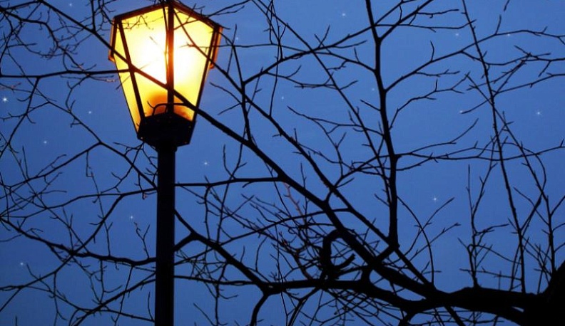 Деревья будут обрезать, чтобы они не закрывали лампы освещения