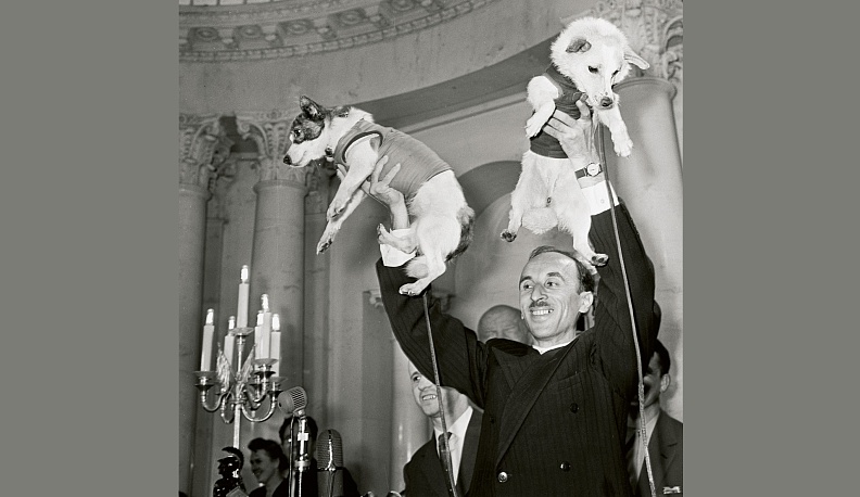 Хвостатые покорители Вселенной