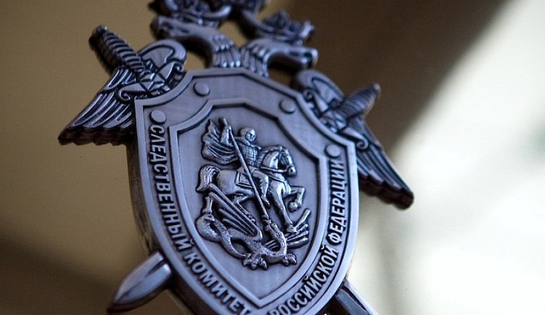 Александр Бастрыкин поручил доложить о проверке нарушений прав многодетных семей в Спас-Деменске