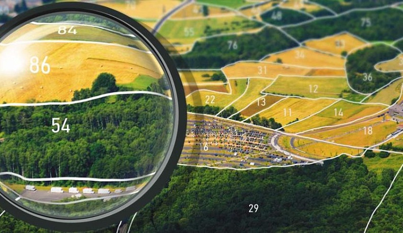 За год на кадастровый учет поставили более 45 тысяч гектаров лесов Калужской области