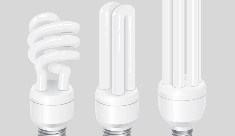 В Калуге рассказали, где можно сдать батарейки и перегоревшие лампочки