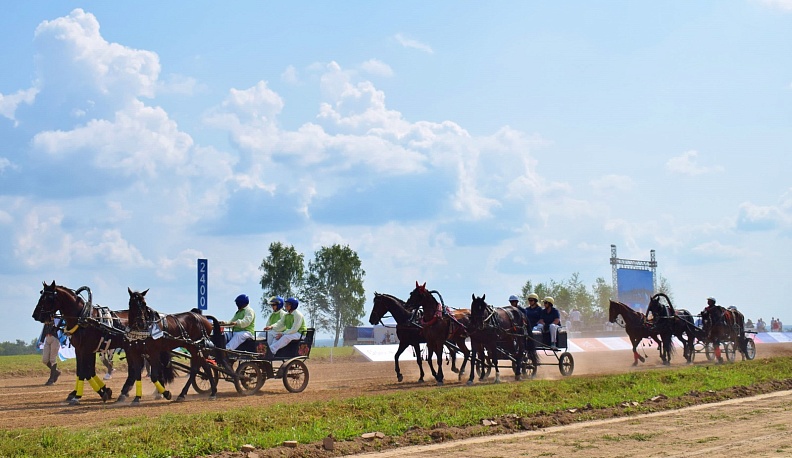 В Тарусском районе прошёл фестиваль орловского рысака