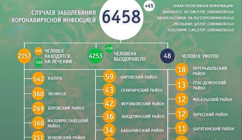 По данным на 8 июля в Калужской области от коронавируса вылечили 4253 пациента