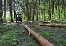 В Тарусе заготавливают лес для нужд фронта