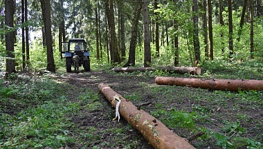 В Тарусе заготавливают лес для нужд фронта