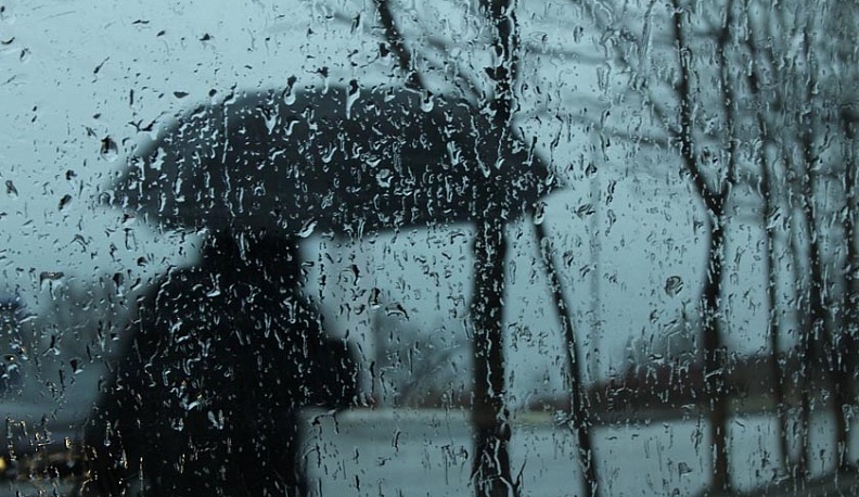 Калужан ждет дождливая и прохладная неделя