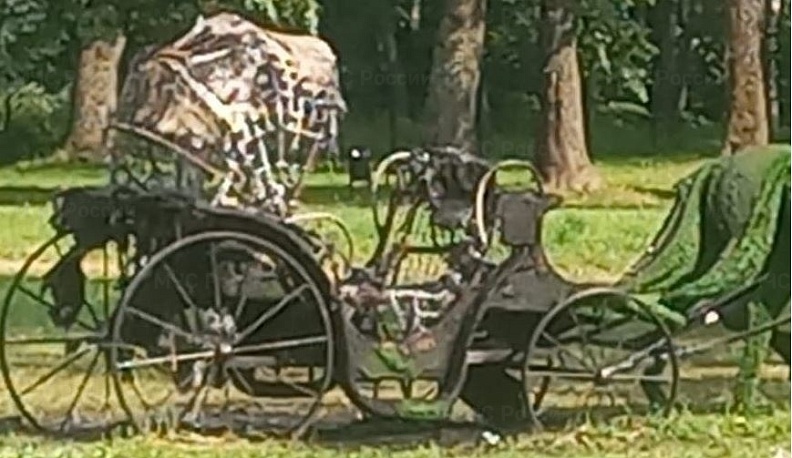 В ферзиковском парке «Дубки» сгорела декоративная конструкция