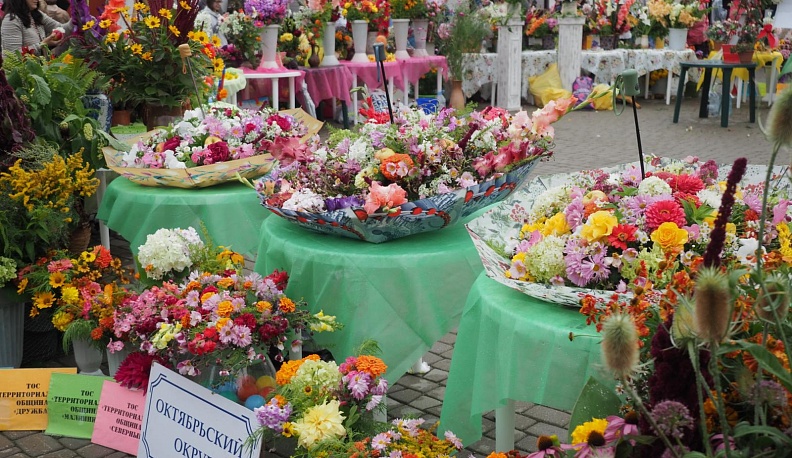 В областном центре стартовал ежегодный конкурс «Калуга в цвету»
