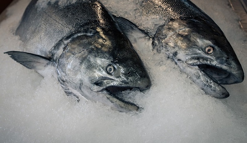 В Калужской области подешевели консервы и мороженая рыба