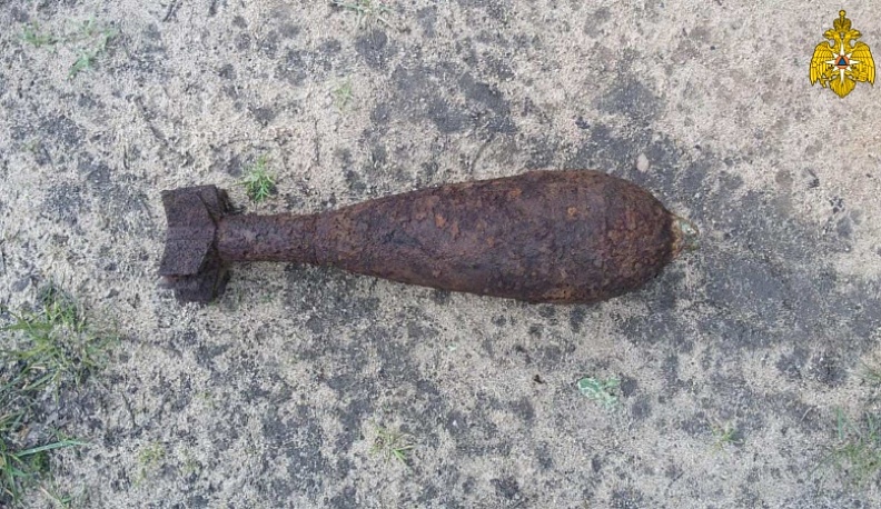 В Калужской области спасатели нашли и обезвредили две мины